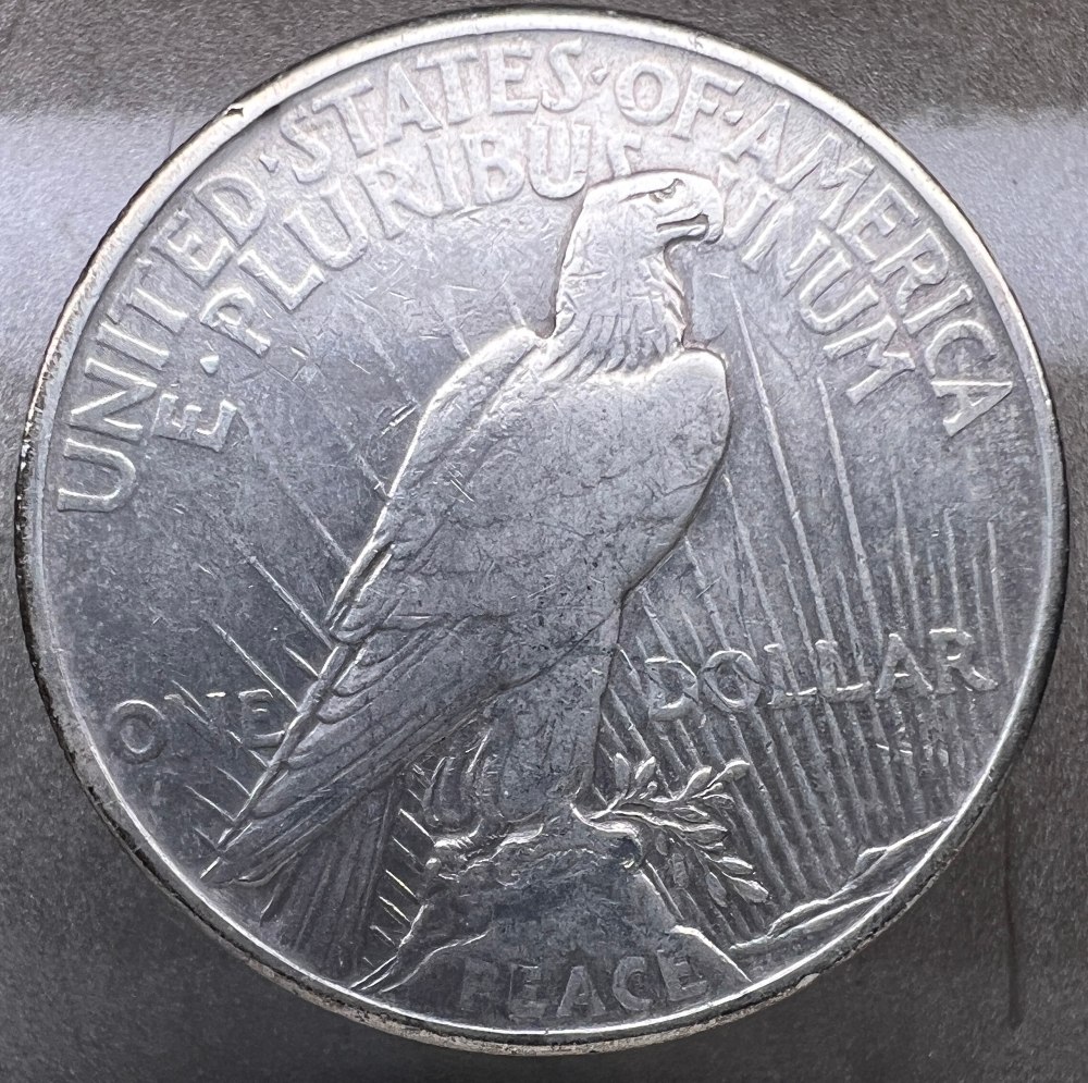 10-Days-Of-Peace-Dollars!